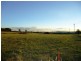 Lot Pine Grove, Lot 1 McIntosh Road, Crookwell NSW 2583