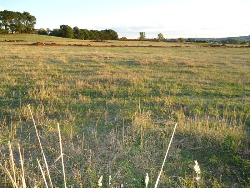 Pine Grove/Lot 3 McIntosh Road, Crookwell NSW 2583