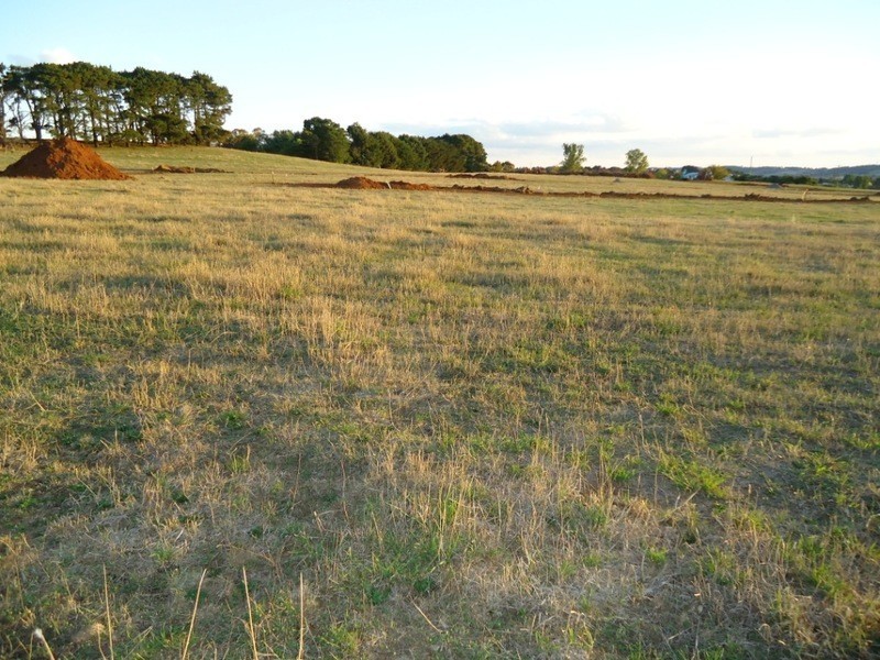 Lot Pine Grove, Lot 4 McIntosh Road, Crookwell NSW 2583