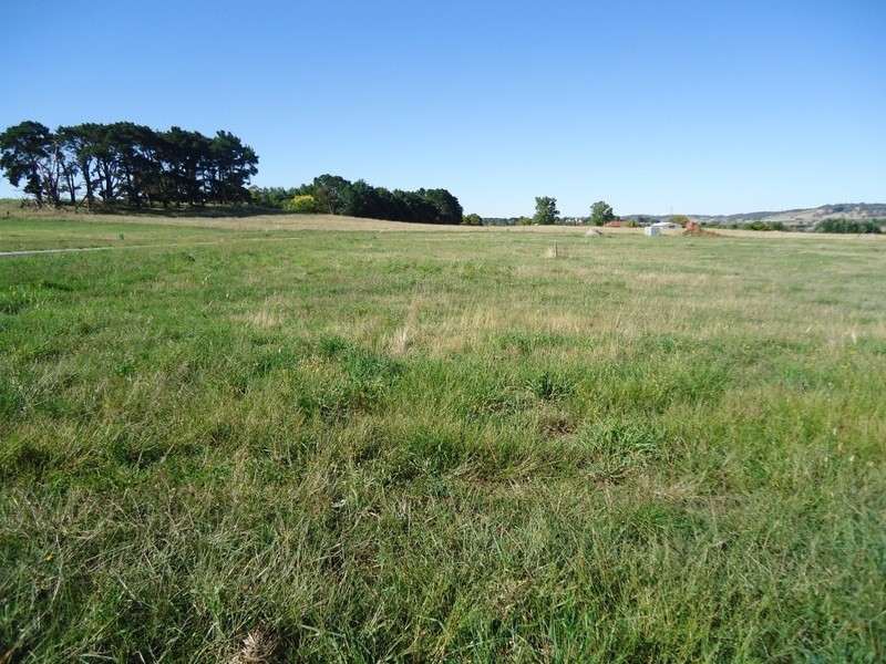 Lot Pine Grove, Lot 5 McIntosh Road, Crookwell NSW 2583
