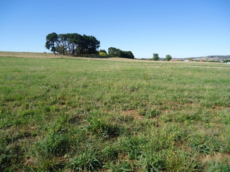 Lot Pine Grove, 16 McIntosh Road, Crookwell NSW 2583