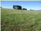 Lot Pine Grove, Lot 7 (49) McIntosh Road, Crookwell NSW 2583