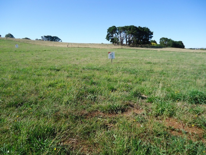 Lot Pine Grove, Lot 7 (49) McIntosh Road, Crookwell NSW 2583