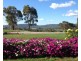 59 Gorman Road, Goulburn NSW 2580