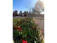 59 Gorman Road, Goulburn NSW 2580