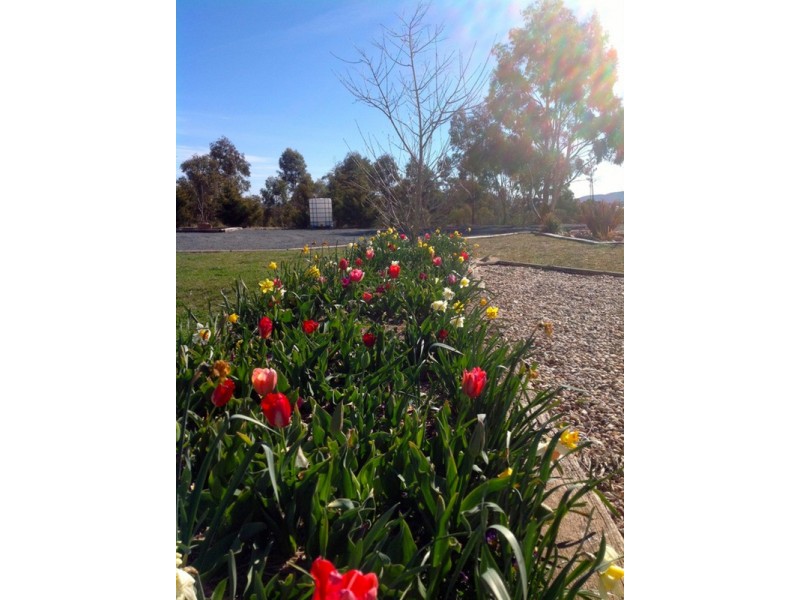 59 Gorman Road, Goulburn NSW 2580