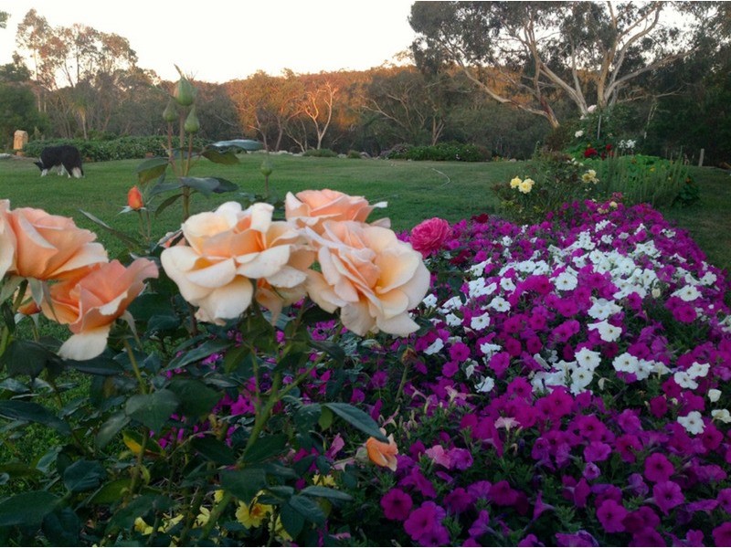59 Gorman Road, Goulburn NSW 2580