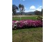 59 Gorman Road, Goulburn NSW 2580