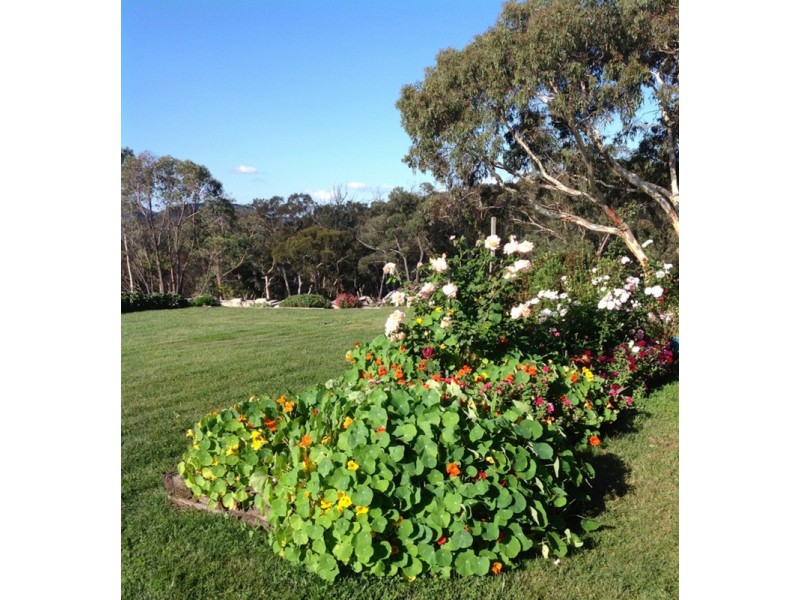 59 Gorman Road, Goulburn NSW 2580