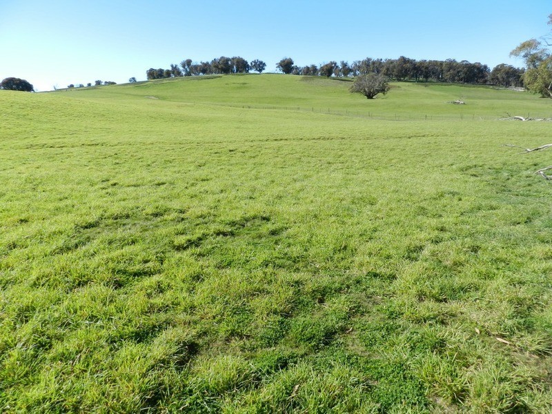 202 Off Redground Heights Road, Laggan NSW 2583