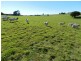 202 Off Redground Heights Road, Laggan NSW 2583