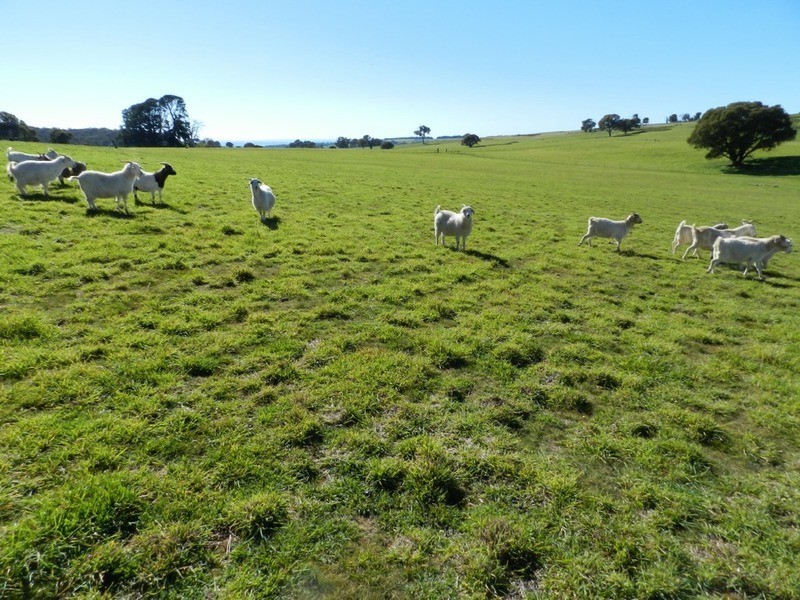 202 Off Redground Heights Road, Laggan NSW 2583