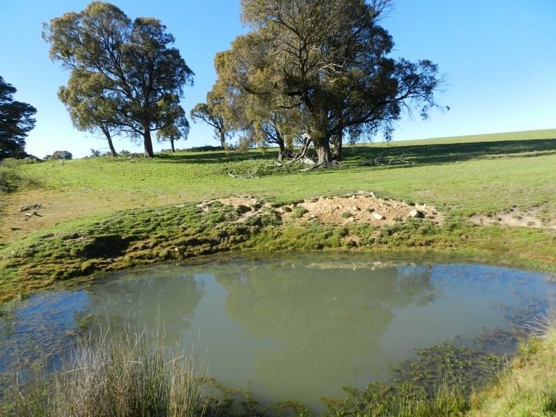 202 Off Redground Heights Road, Laggan NSW 2583