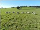 202 Off Redground Heights Road, Laggan NSW 2583