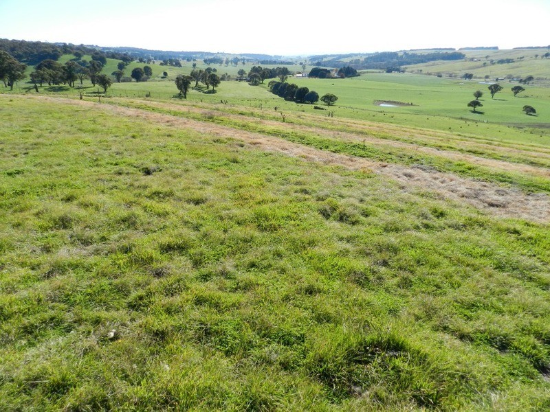 202 Off Redground Heights Road, Laggan NSW 2583