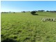 202 Off Redground Heights Road, Laggan NSW 2583