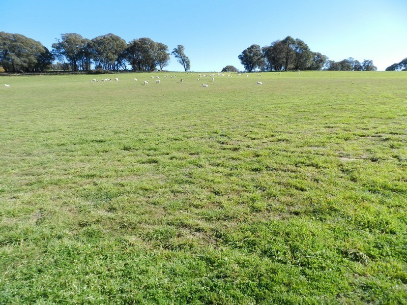 202 Off Redground Heights Road, Laggan NSW 2583