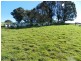 202 Off Redground Heights Road, Laggan NSW 2583
