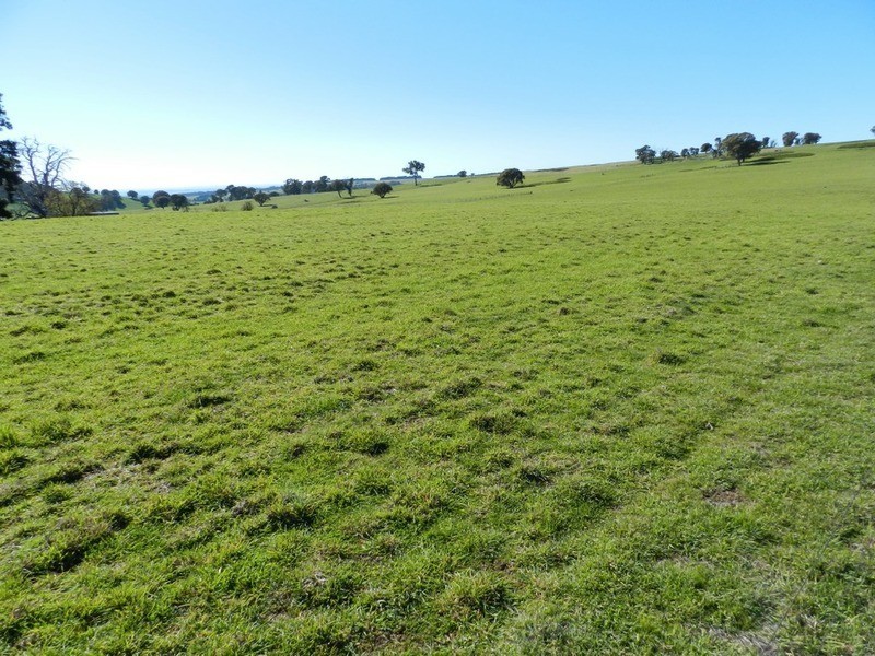 202 Off Redground Heights Road, Laggan NSW 2583