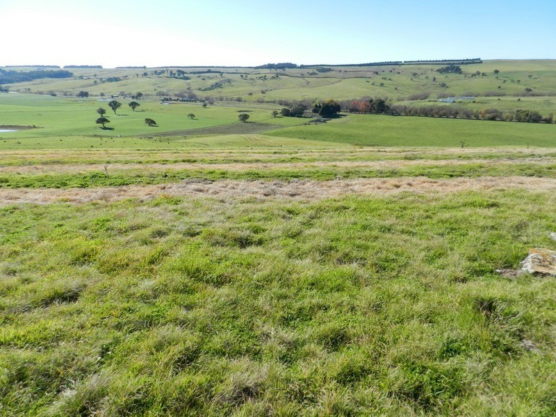 202 Off Redground Heights Road, Laggan NSW 2583