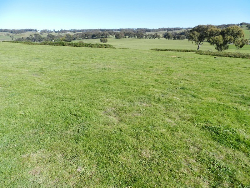 202 Off Redground Heights Road, Laggan NSW 2583