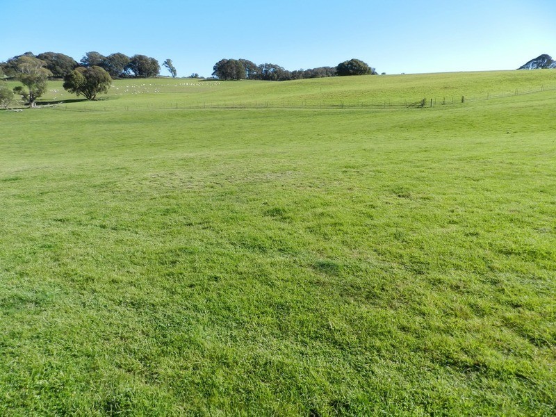 202 Off Redground Heights Road, Laggan NSW 2583