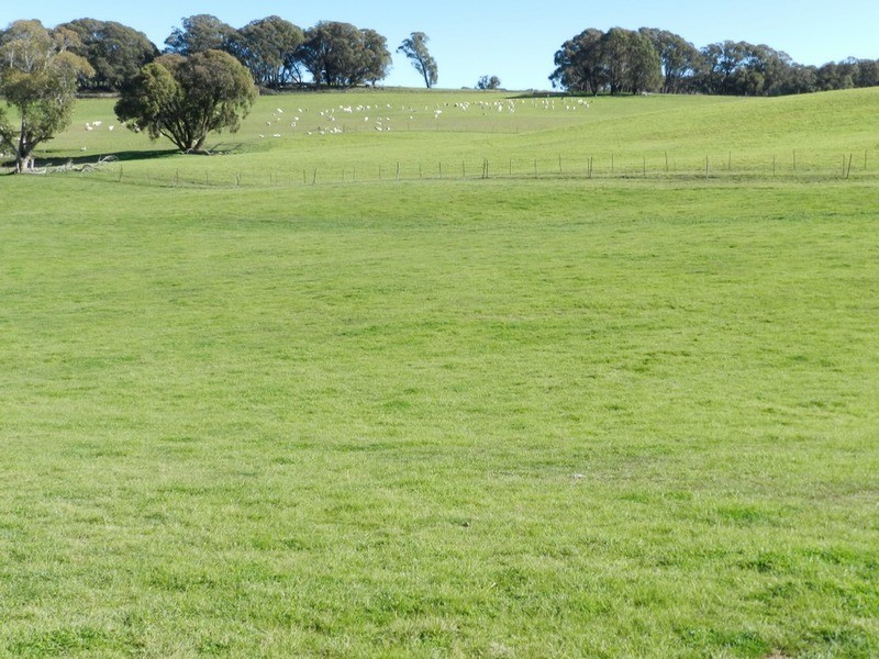 202 Off Redground Heights Road, Laggan NSW 2583