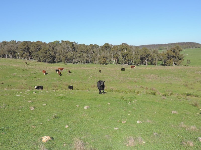 1635 Rhyanna  Road, Goulburn NSW 2580