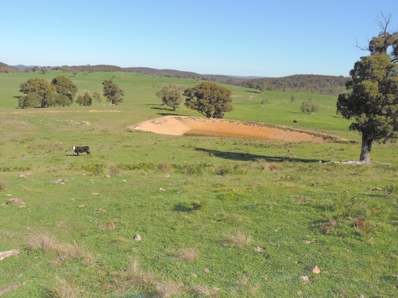 1635 Rhyanna  Road, Goulburn NSW 2580