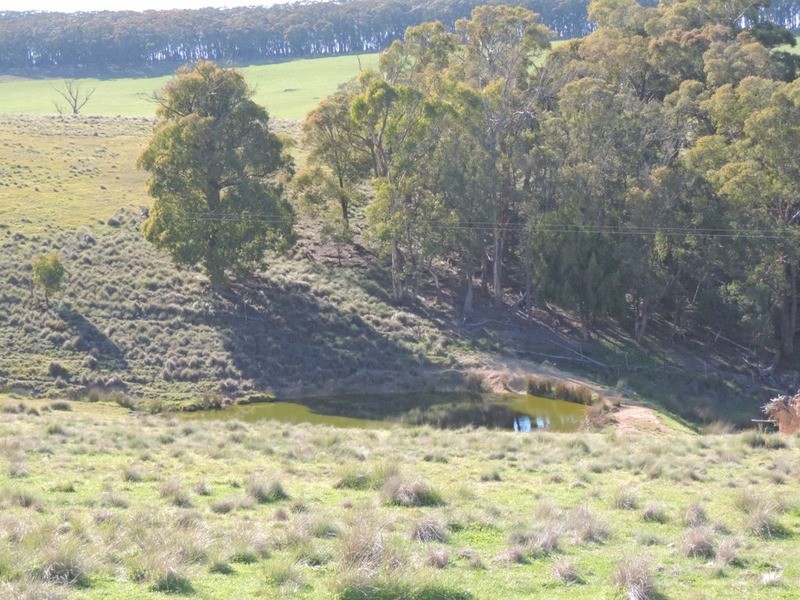 1635 Rhyanna  Road, Goulburn NSW 2580