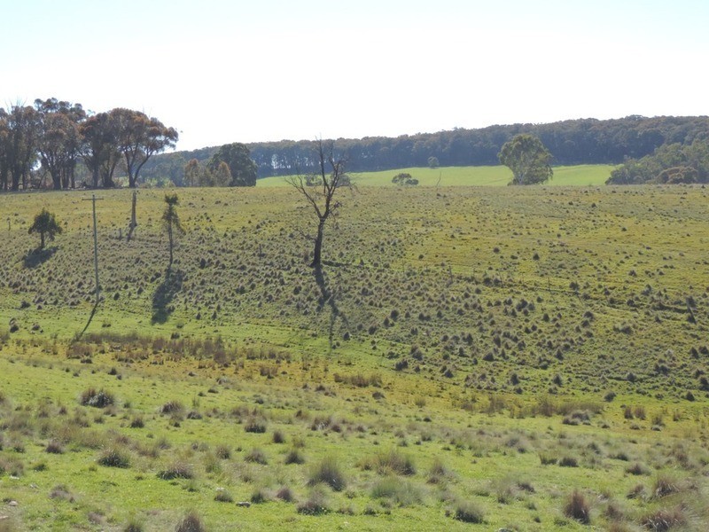 1635 Rhyanna  Road, Goulburn NSW 2580