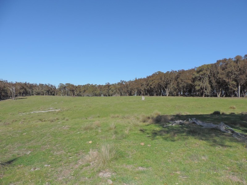 1635 Rhyanna  Road, Goulburn NSW 2580