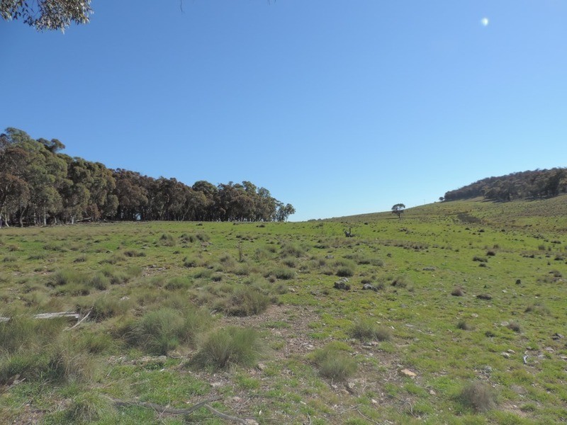 1635 Rhyanna  Road, Goulburn NSW 2580