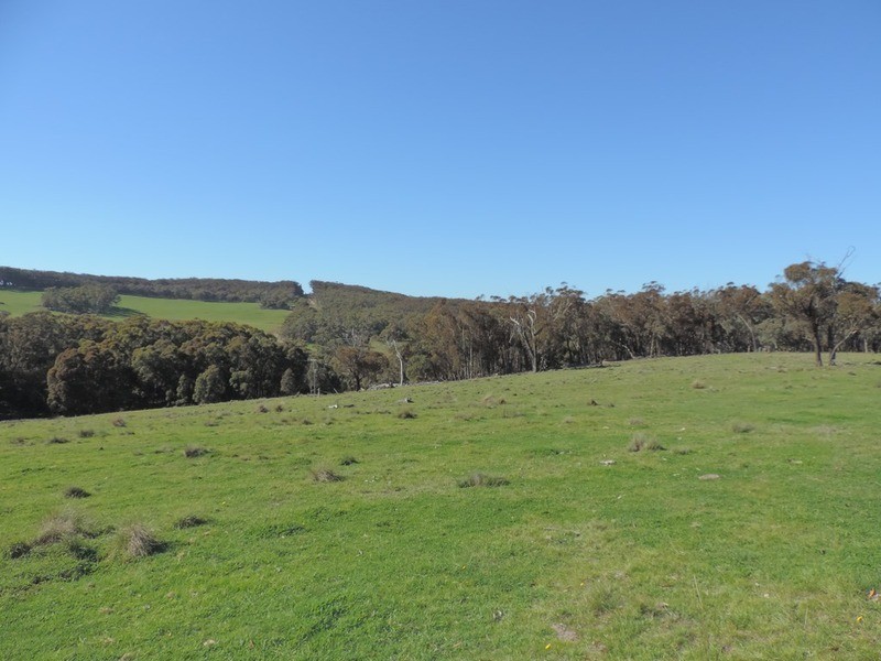 1635 Rhyanna  Road, Goulburn NSW 2580