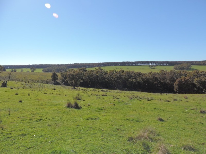 1635 Rhyanna  Road, Goulburn NSW 2580