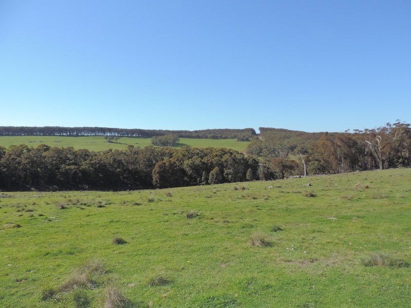 1635 Rhyanna  Road, Goulburn NSW 2580