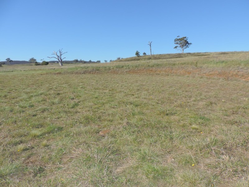 376 Chapman  Lane, Tarlo NSW 2580