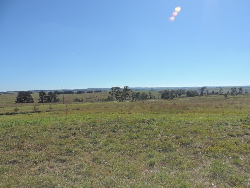 376 Chapman  Lane, Tarlo NSW 2580