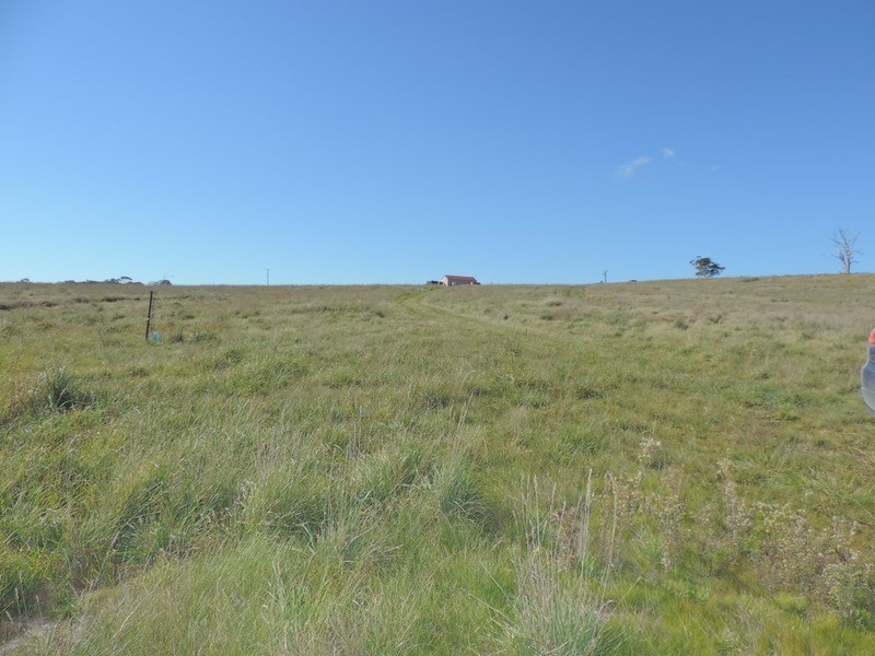 376 Chapman  Lane, Tarlo NSW 2580