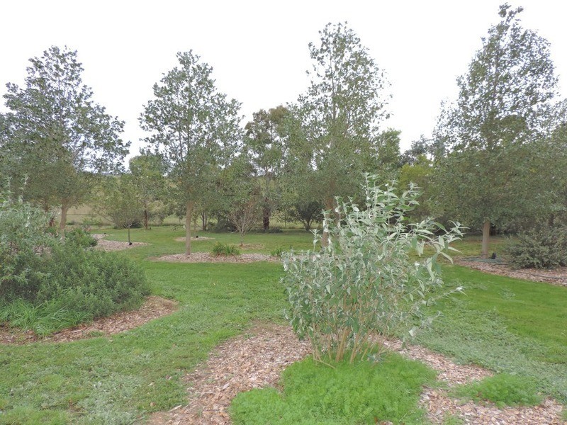 2388 Currawang Road, Collector NSW 2581