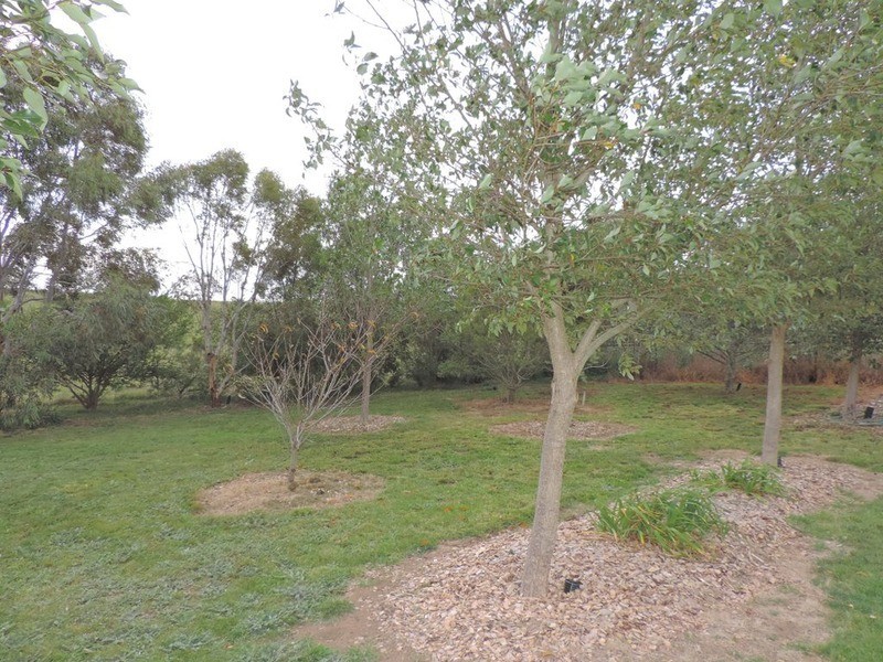 2388 Currawang Road, Collector NSW 2581