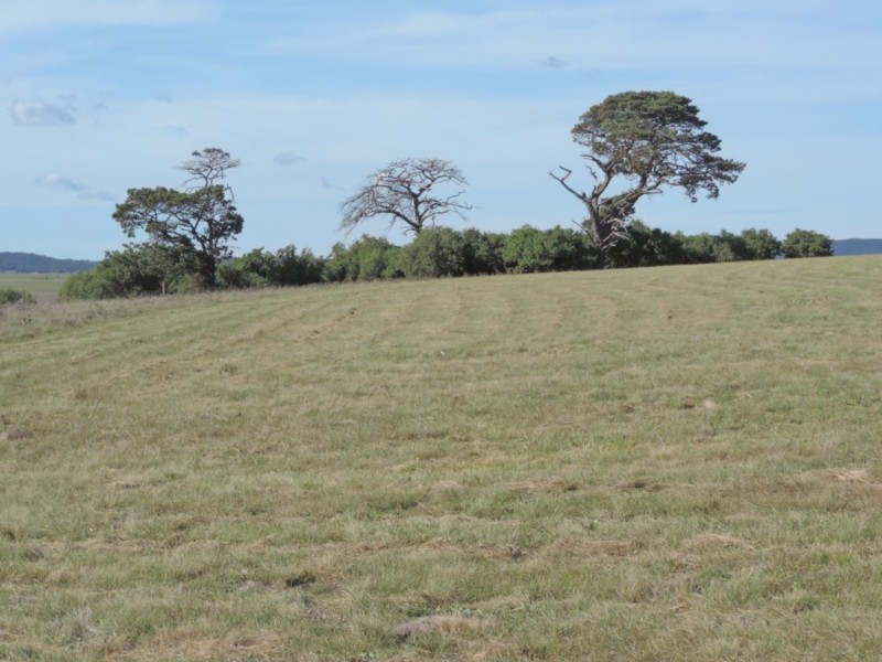 170 Gretta Road, Goulburn NSW 2580