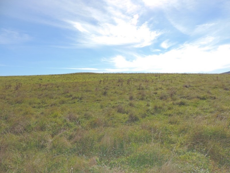 170 Gretta Road, Goulburn NSW 2580