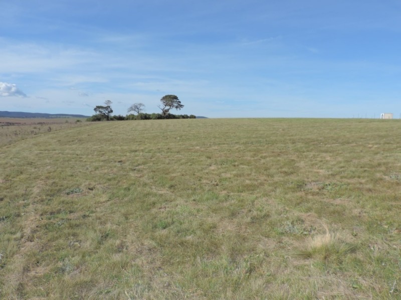 170 Gretta Road, Goulburn NSW 2580