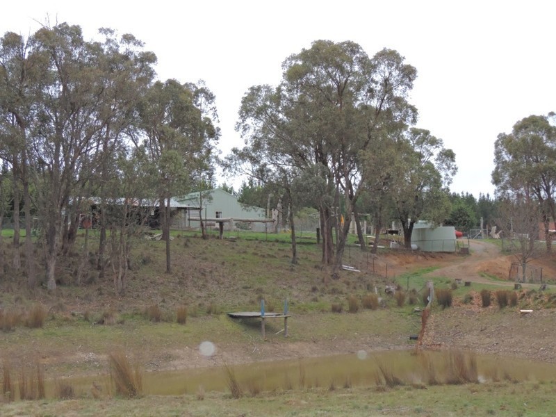 199 Old Station Creek Road, Yalbraith NSW 2580