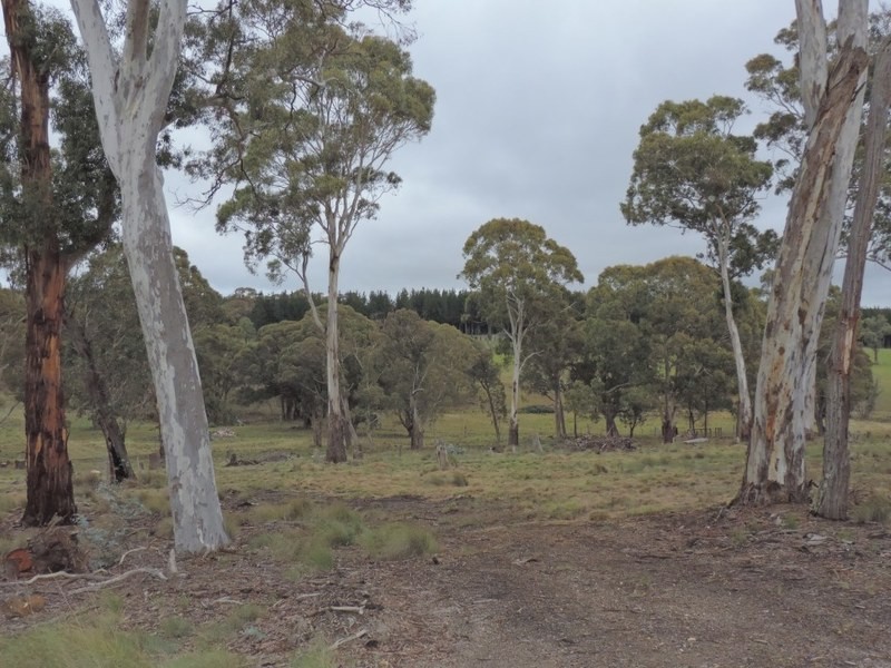 199 Old Station Creek Road, Yalbraith NSW 2580