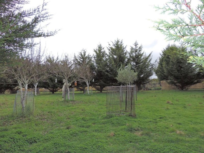 199 Old Station Creek Road, Yalbraith NSW 2580
