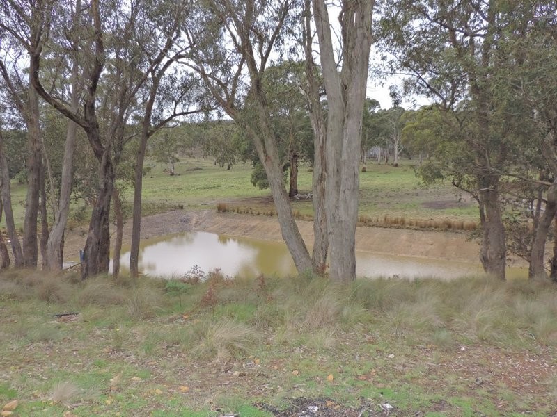 199 Old Station Creek Road, Yalbraith NSW 2580