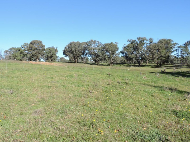 Kulnura Peelwood  Road, Limerick NSW 2583