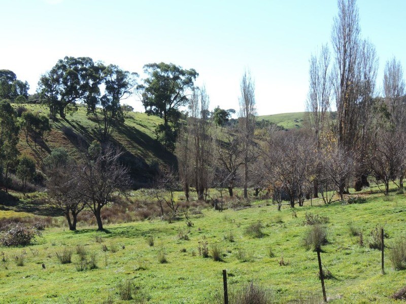 Kulnura Peelwood  Road, Limerick NSW 2583